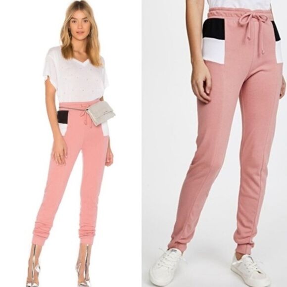 Wildfox Pants - NWT Wildfox Pink Color Block Jogger Sweatpants L